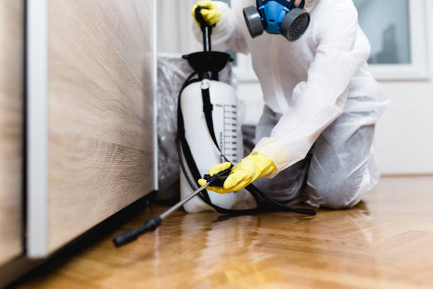 Reliable Falling Water, TN Pest Control Solutions