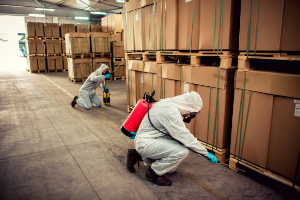 Flea Control Services in Falling Water, TN