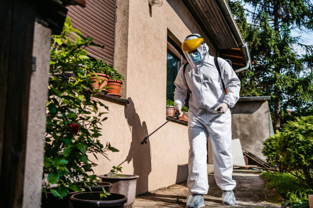Best Mosquito Control Services  in Falling Water, TN
