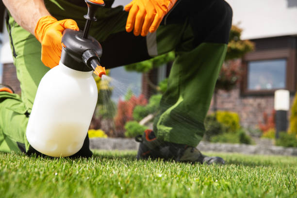 Best Commercial Pest Control Services  in Falling Water, TN