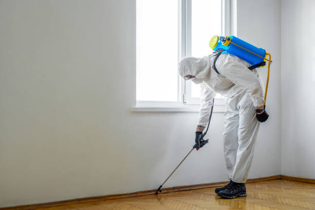 Best Pest Control for Businesses  in Falling Water, TN