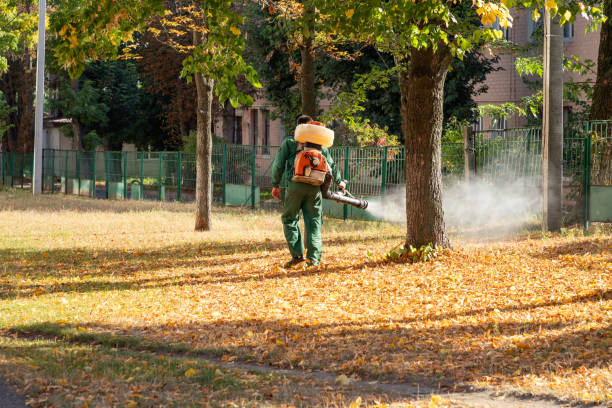 Best Affordable Pest Control Services  in Falling Water, TN