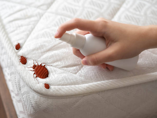 Best Residential Pest Control  in Falling Water, TN
