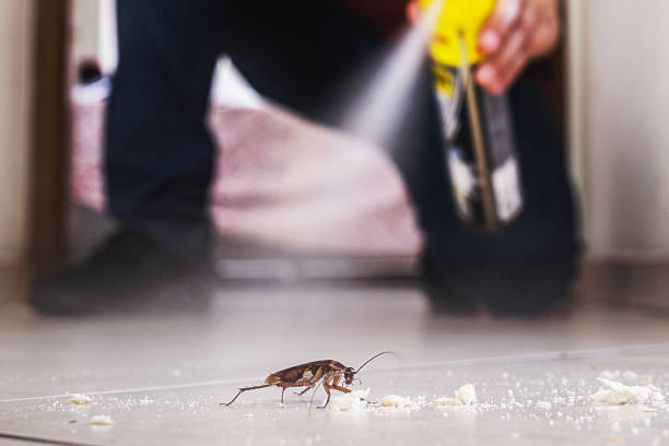 Best Termite Control Services  in Falling Water, TN