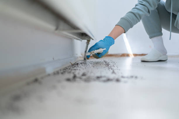 Best Best Pest Control Companies  in Falling Water, TN