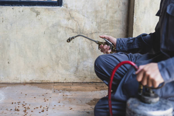 Best Wasp Removal Services  in Falling Water, TN