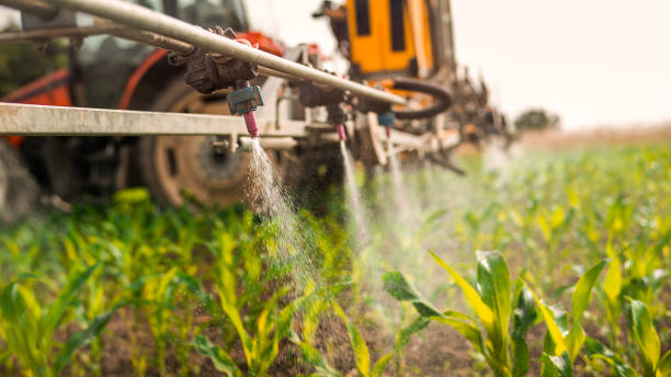 Best Pest Removal Services  in Falling Water, TN