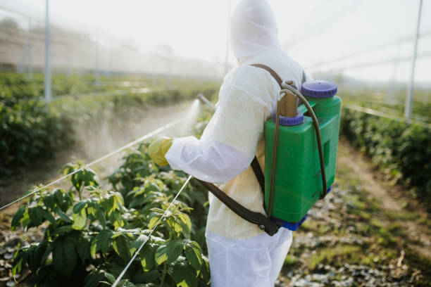 Best Pest Control for Homes  in Falling Water, TN